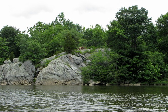 150417_PA Susquehanna Conowingo Pool_0303acs