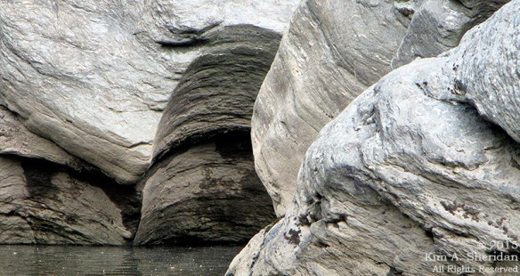 150417_PA Susquehanna Conowingo Pool_0328a