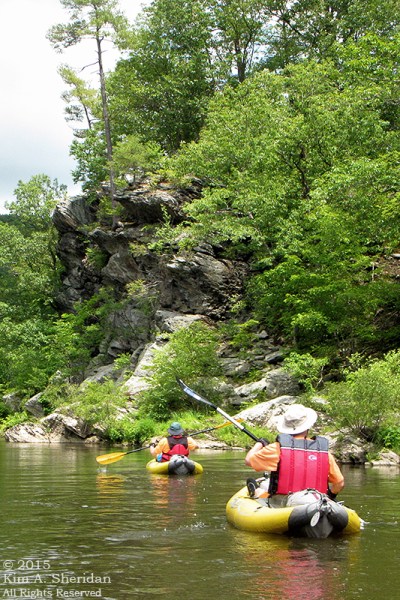 150417_PA Susquehanna Conowingo Pool_0464acs