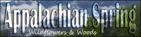 Appalachian Spring Title Subtitle