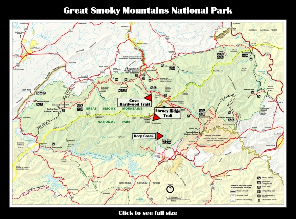 Map GSMNP Wildflowers & Woods