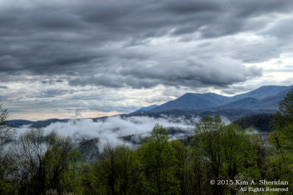 150414_TN GSMNP Maloney Point_4575-9acs copy