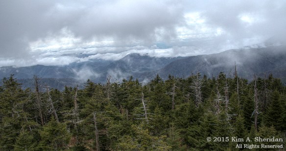 150417_NC GSMNP Clingmans Dome_5521-5_HDR acs copy