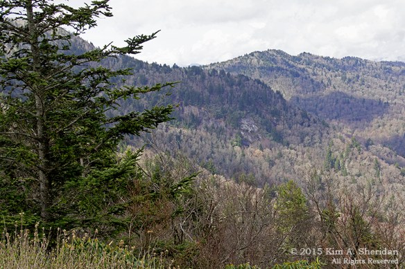 150418_NC BRP High Peaks_5708acs