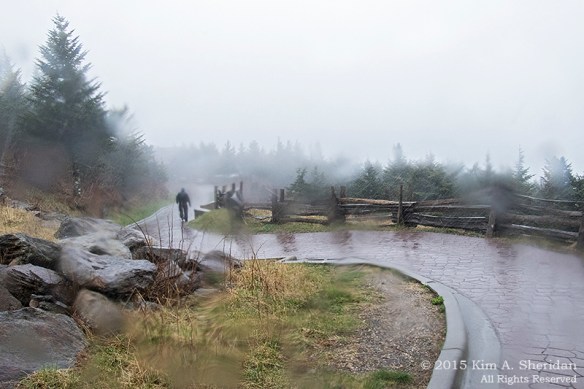 150419_NC BRP Mt Mitchell_5833acs