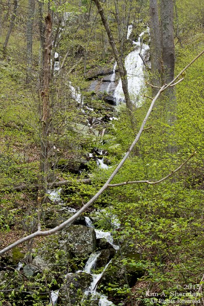 150420_VA BRP Farm Country_6078acs