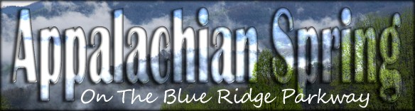 Appalachian Spring Title BRP