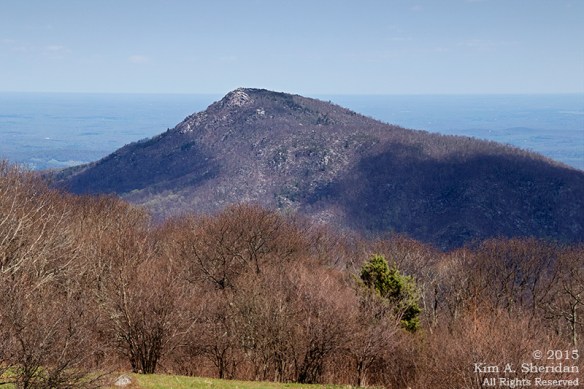 150421_VA SNP Skyline Drive_6272acs