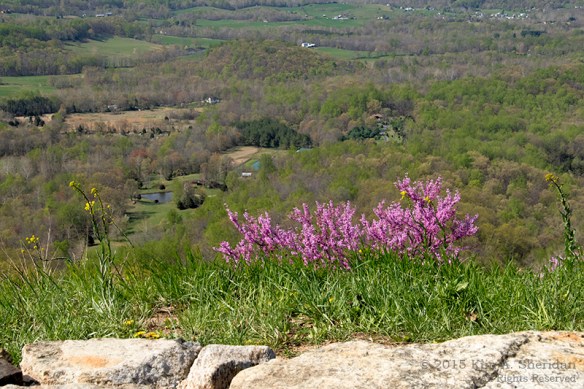 150422_VA SNP Skyline Drive_6563acs