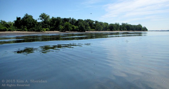 150802_PA Little Tinicum Island_1024acs