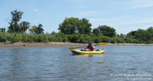 150802_PA Little Tinicum Island_1144acs