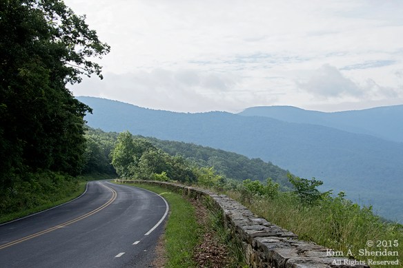 150704_VA Shenandoah National Park_0485 a