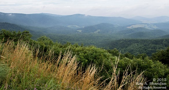 150704_VA Shenandoah National Park_0514acs