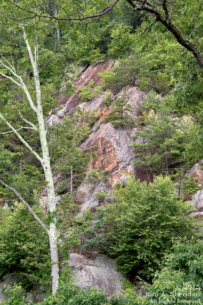 150704_VA Shenandoah National Park_0616acs
