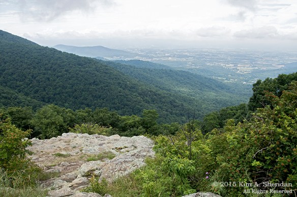 150704_VA Shenandoah National Park_0619acs