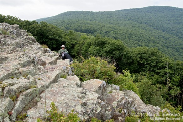 150704_VA Shenandoah National Park_0647acs