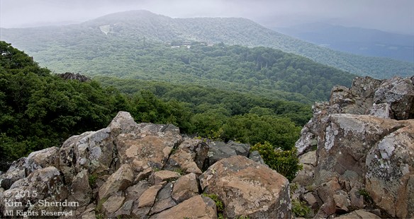 150704_VA Shenandoah National Park_0690acs