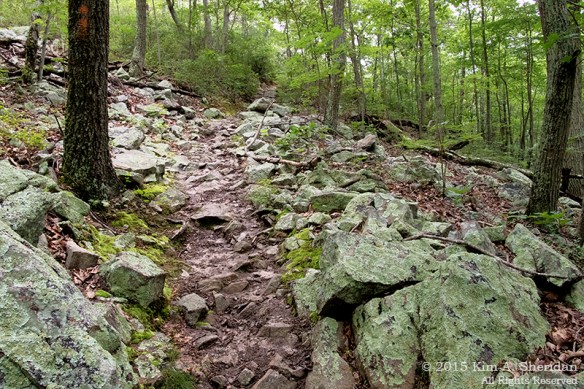 150705_VA Massanutten_0799a