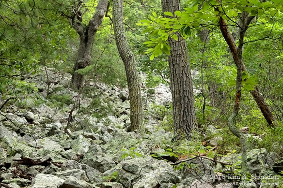 150705_VA Massanutten_0800acs