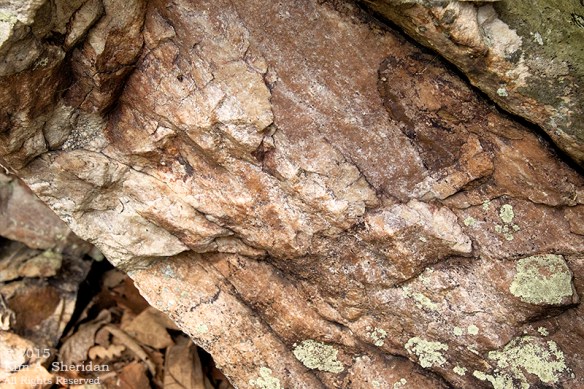 150705_VA Massanutten_0856acs