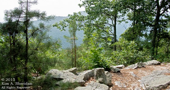 150705_VA Massanutten_1034acs