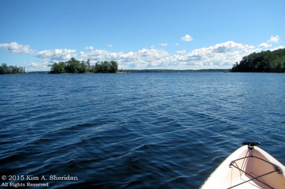 150821_MI LSP Hamlin Kayak_1527acs