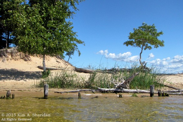 150821_MI LSP Hamlin Kayak_1546acs