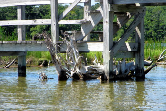 150821_MI LSP Hamlin Kayak_1598acs