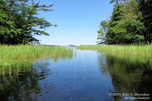 150821_MI LSP Hamlin Kayak_1890acs