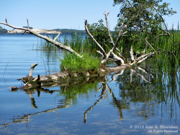 150821_MI LSP Hamlin Lake Kayak_1846acs