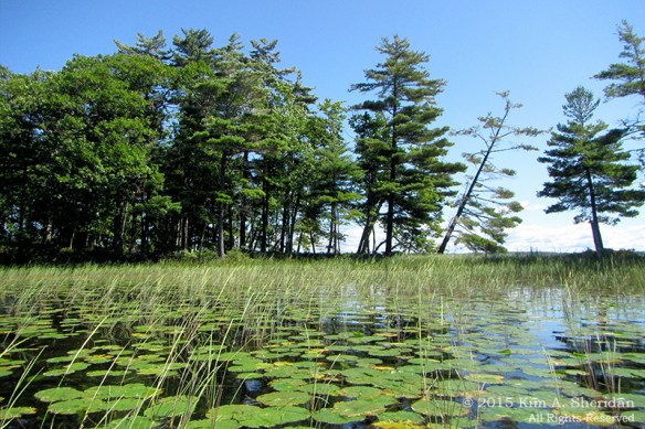150821_MI LSP Lost Lake Kayak_1620