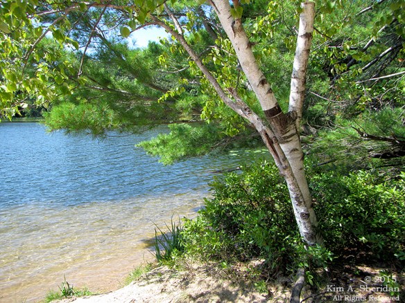 150821_MI LSP Lost Lake Kayak_1665acs