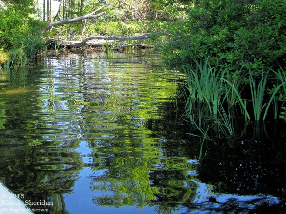 150821_MI LSP Lost Lake Kayak_1728acs