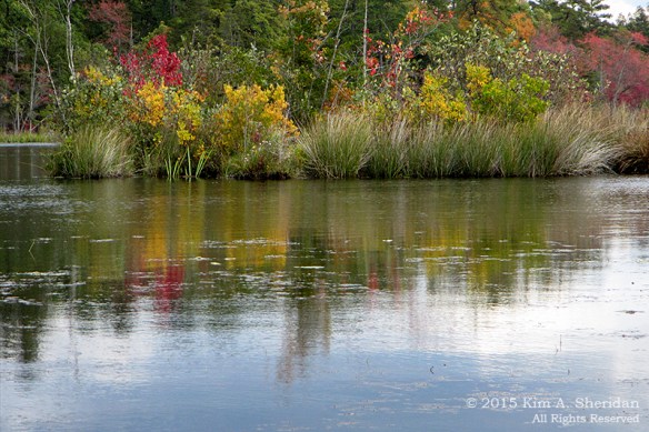 151014_NJ Atsion Lake Kayak mc_2964acs