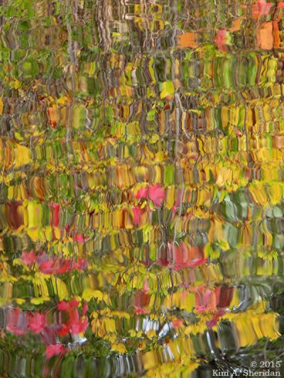 151014_NJ Atsion Lake Kayak mc_2996 acs