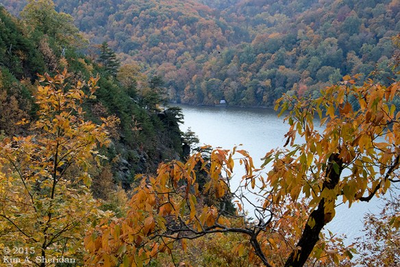 151025_PA Holtwood Fall Pinnacle_0493acs