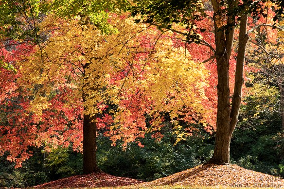 151025_PA Holtwood Fall_0229acs