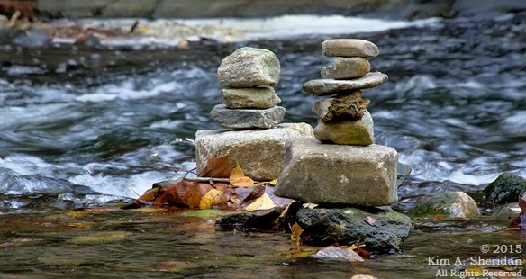 141005_Wissahickon Valley_8925acs