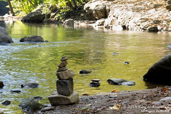 141005_Wissahickon Valley_8942acs