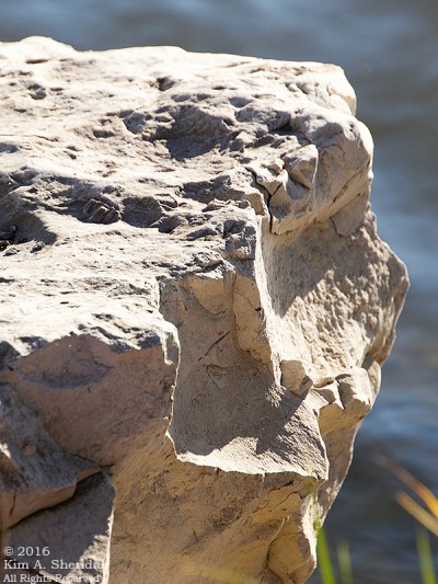 151223_TX White Rock Lake_4146acs