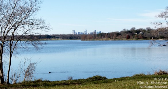 151225_TX White Rock Lake_4448acs