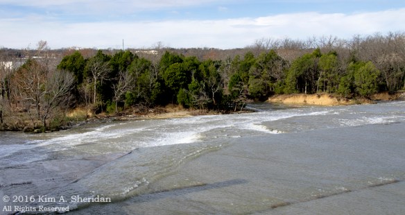 151229_TX White Rock Lake_4948acs