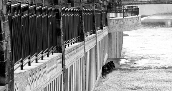 151229_TX White Rock Lake_4951