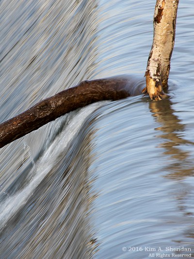 151229_TX White Rock Lake_4968acs