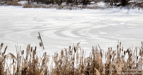 160126_PA HNWR Snow Ice_7853acs