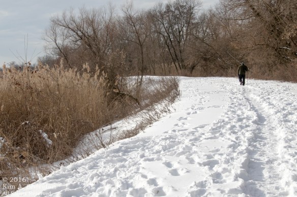 160126_PA HNWR Snow_7733acs