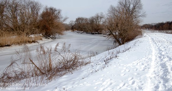 160126_PA HNWR Snow_7781a