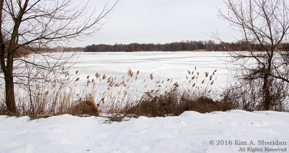 160126_PA HNWR Snow_7864acs