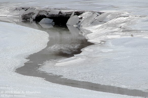 160126_PA HNWR Snow_7915acs