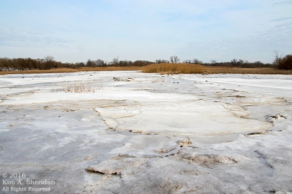 160126_PA HNWR Snow_7917acs